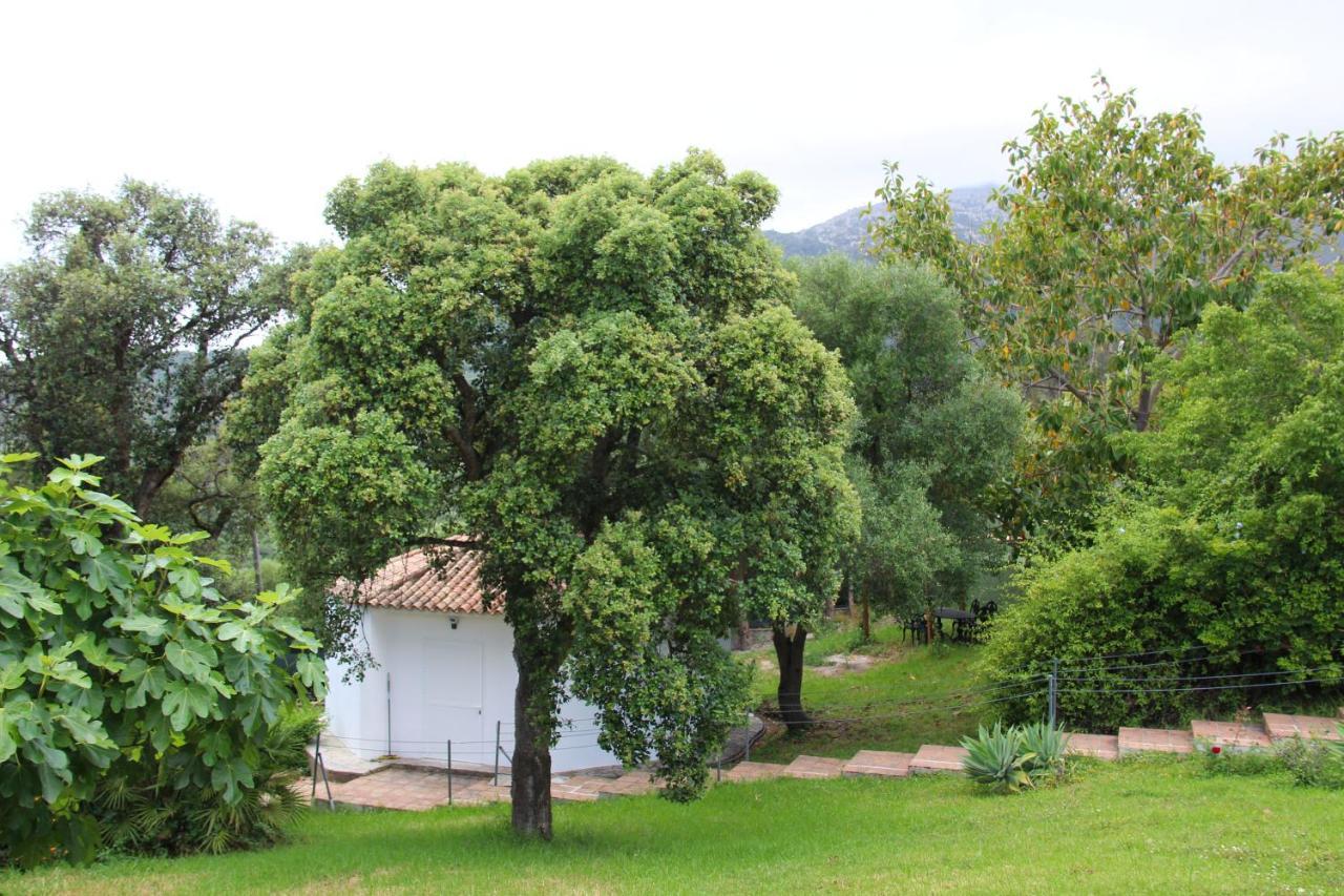 Finca El Campo Algeciras Exteriér fotografie